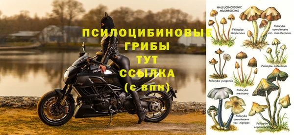 не бодяженный Бронницы